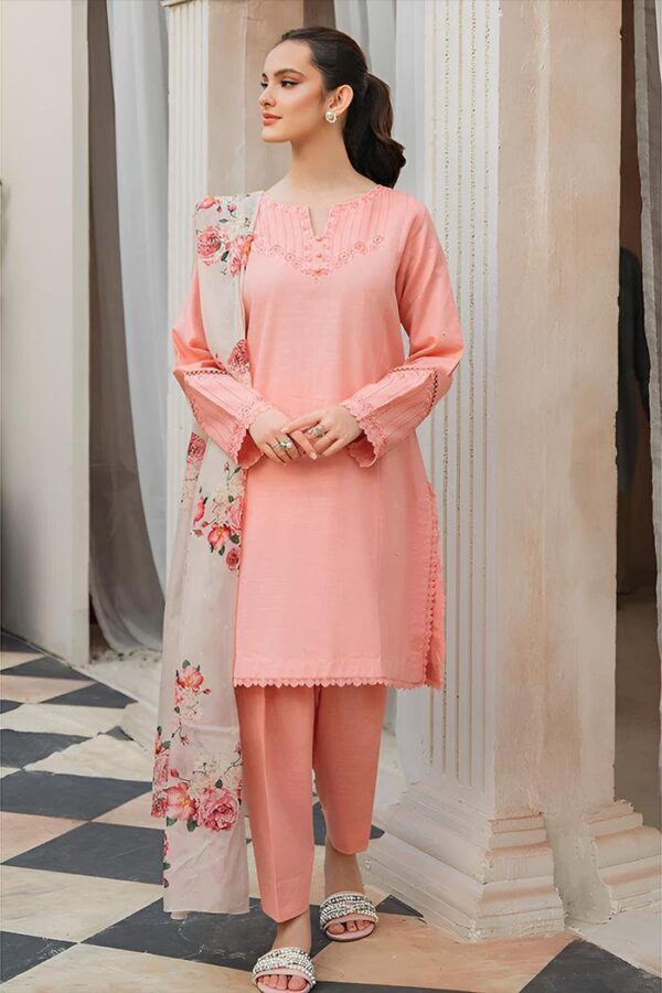 3 Pcs women's Unstitched Embroidered suit