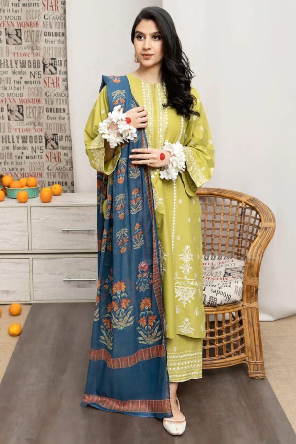3 Pcs women's unstitched Embroidered suit