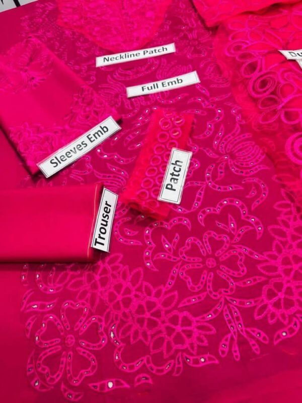 3 Pcs women's unstitched chikankari Embroidered suit - Image 3
