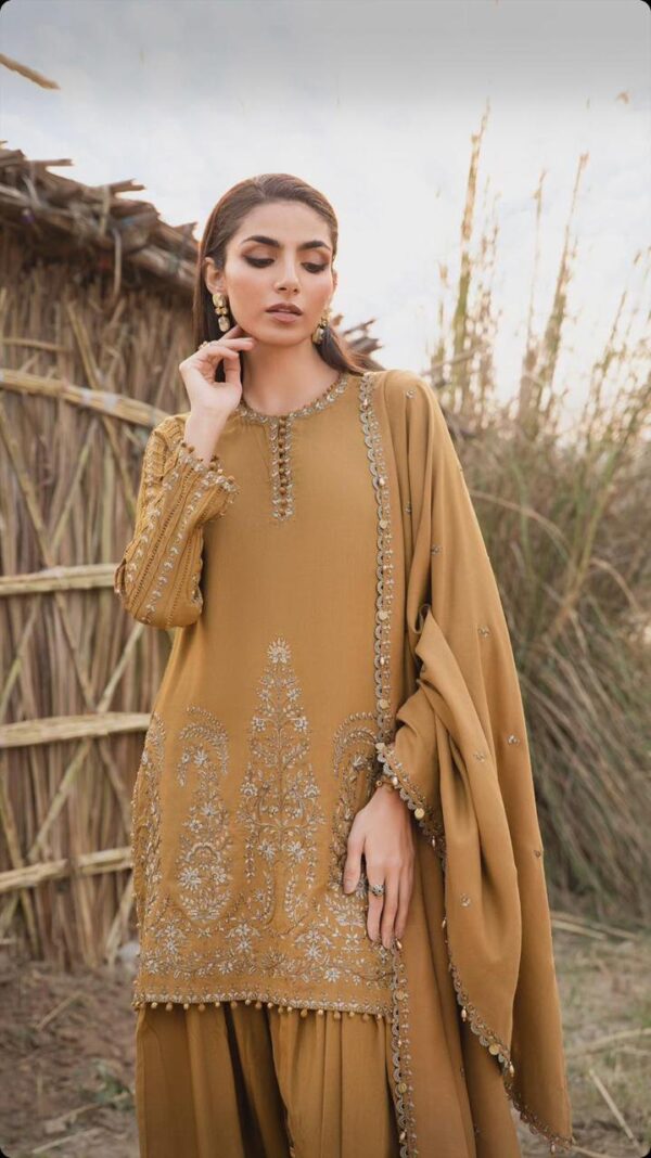 3 Pcs women's unstitched Embroidered suit - Image 2