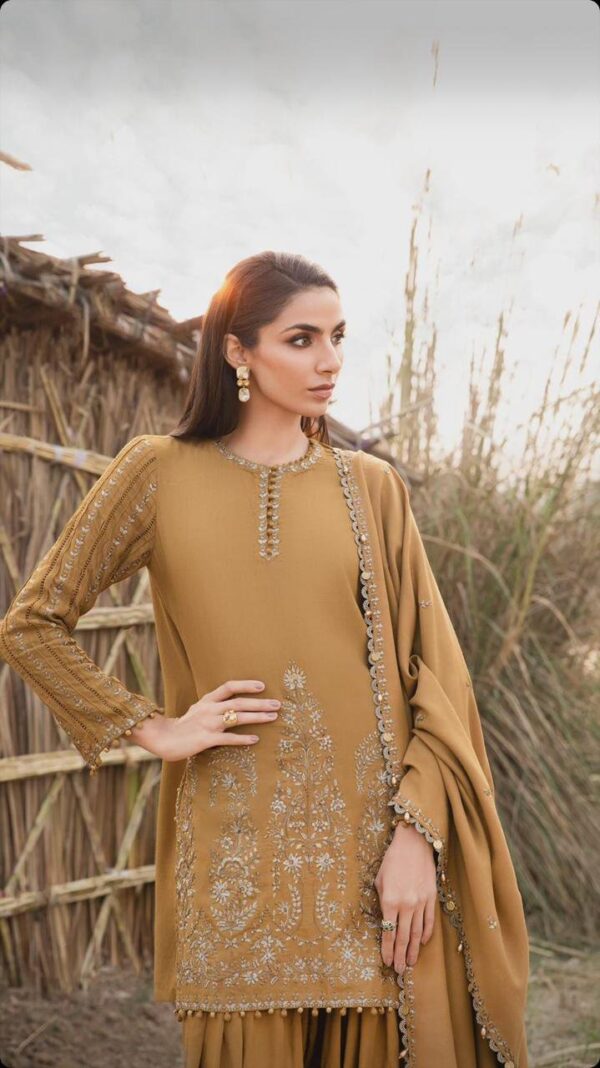 3 Pcs women's unstitched Embroidered suit