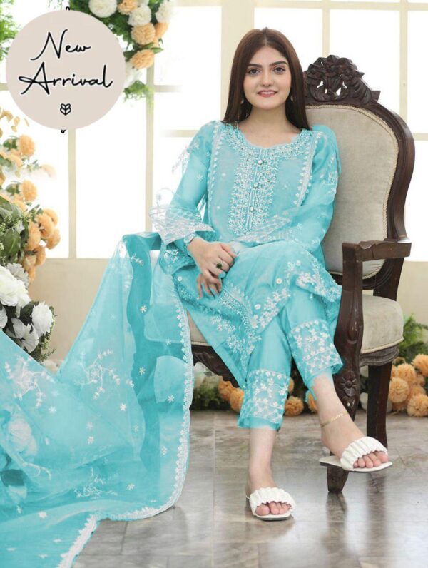 Maroon Embroidered organza suit 3 pcs