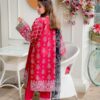 3 PCs Women's Stitched Linen 3-D block Printed Suit - Image 3