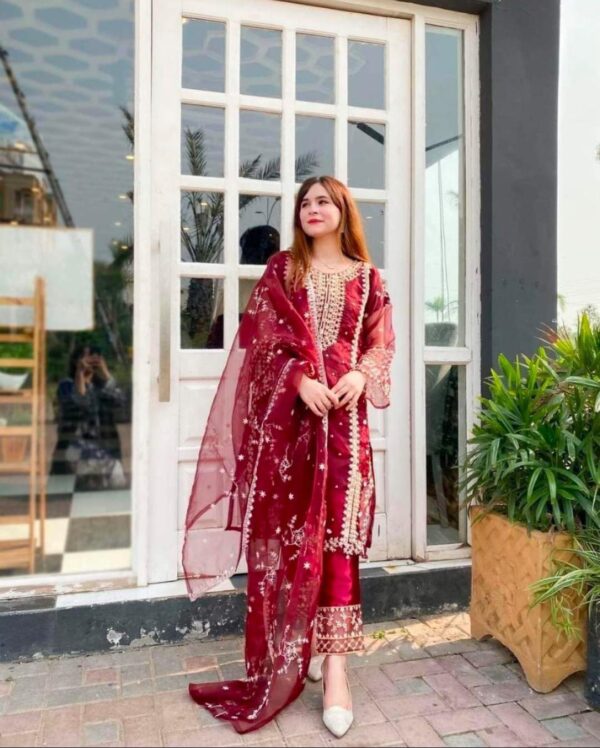 3 PCs Women's stitched Embroidered Organza Suit Set
