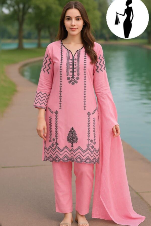 3 PCs Women's stitched Embroidered Suit