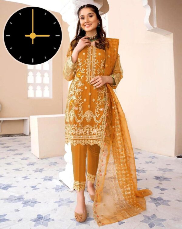 3 PCs Women's stitched Embroidered Organza Suit